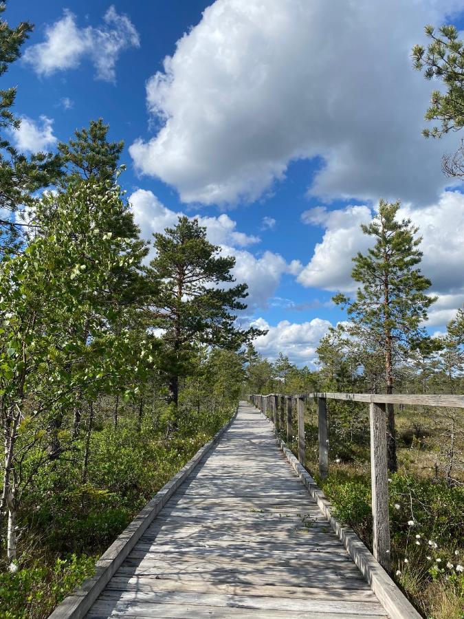 Nyhyttan Nora Bergslagen The Three Birches Villa Exterior photo